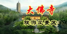 黄网站大鸡巴操嫩逼中国浙江-新昌大佛寺旅游风景区